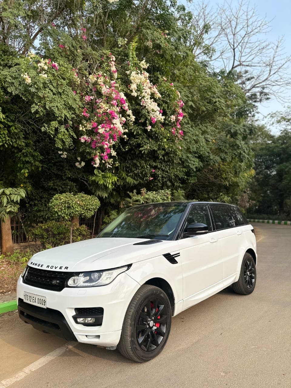 Luxury entry theme · grand reveal